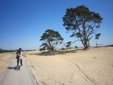 Nationaal Park De Hoge Veluwe